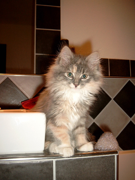 Antaska mit 10 Wochen.jpg